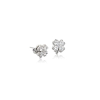 Cubic Zirconia Earrings