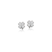 Cubic Zirconia Earrings