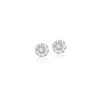 Cubic Zirconia Earrings