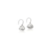 Shell Cubic Zirconia Earrings